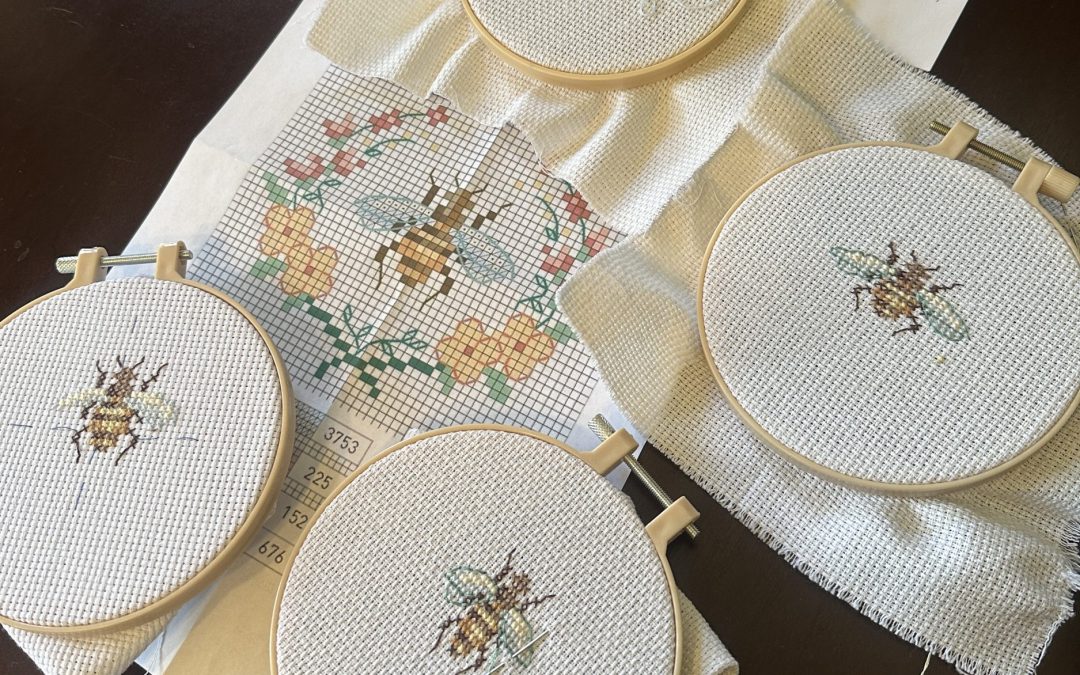 A Look at Our Year So Far!